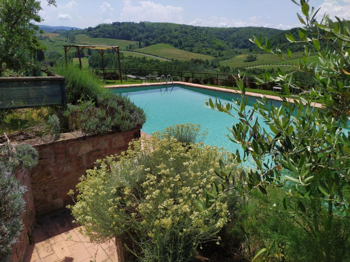 Antonella House -Podere Della Collina Palaia Extérieur photo